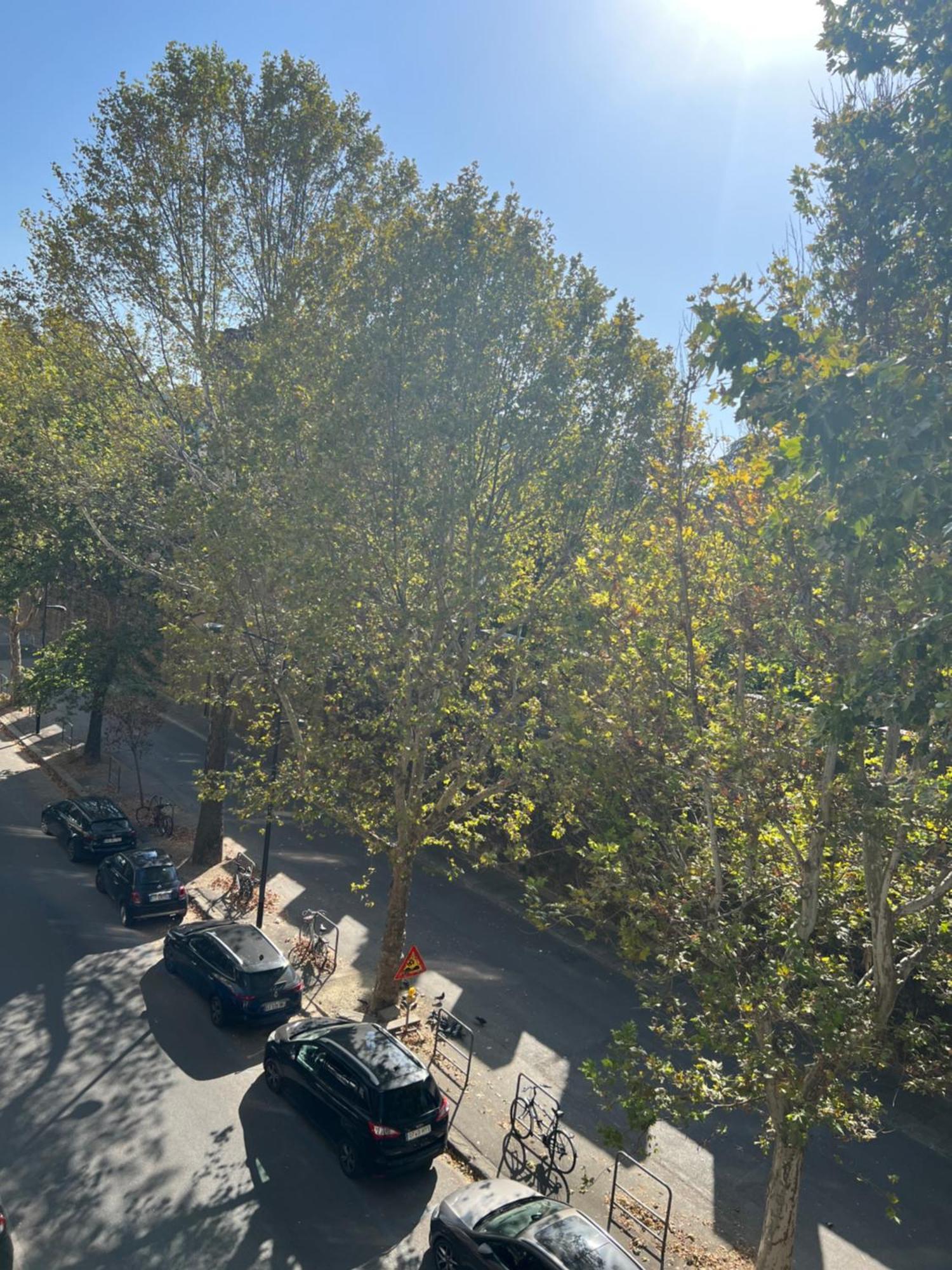 Santa Rosa Florence Apartments 3 Bedrooms - Private Parking Exterior foto